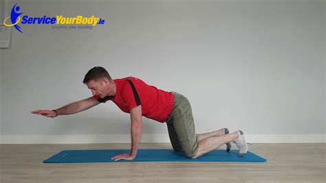 AC Joint Separation Rehab Exercises - YouTube