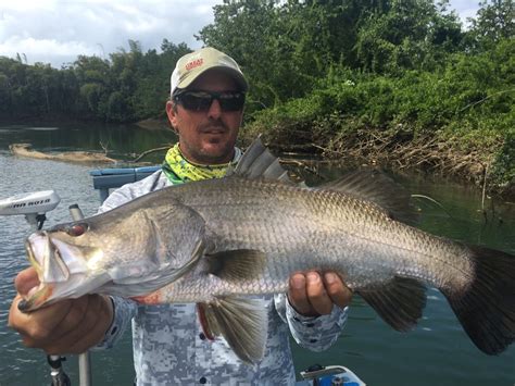 Barramundi - Fishing Cairns