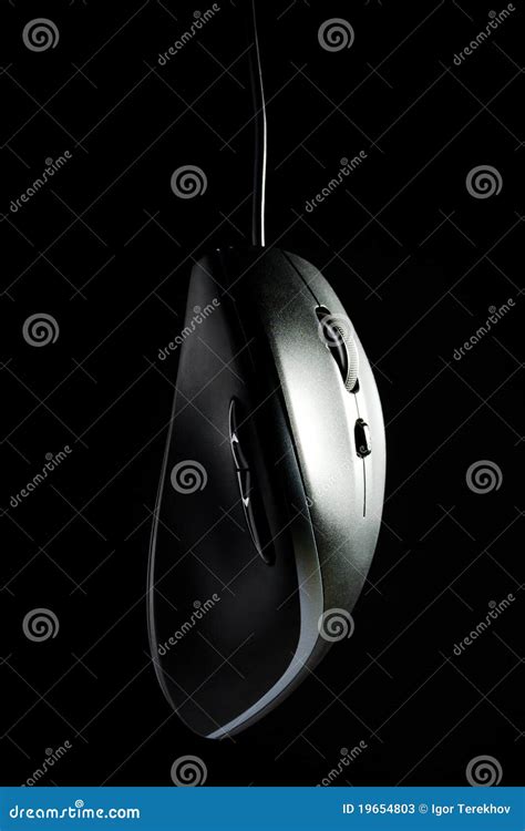 Mouse with a wheel stock image. Image of eyesight, optic - 19654803