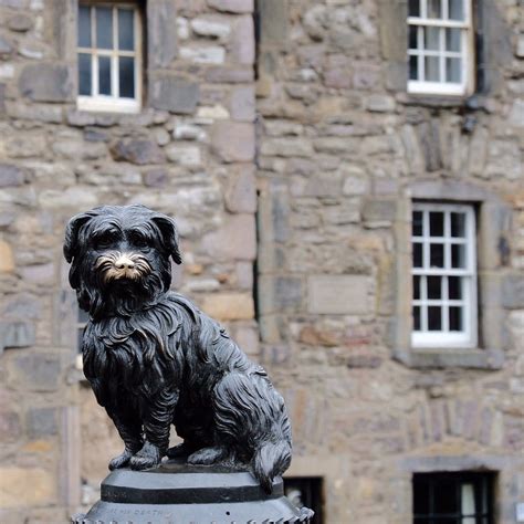 Greyfriars Bobby Statue - The History - My Voyage Scotland