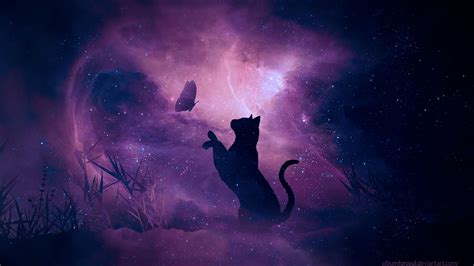 Cat Night Wallpapers - Top Free Cat Night Backgrounds - WallpaperAccess