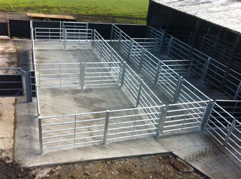 Any photos or advice / designs on cattle handling systems? | Page 2 ...