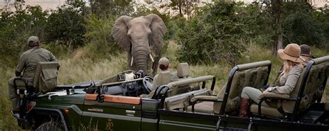 Best Time to Visit Kruger National Park (Best Game-Viewing Time)