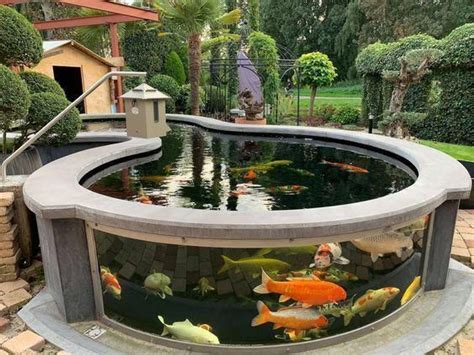 Above Ground Koi Pond: 15+ Mesmerizing Ideas to Decorate Your Exterior ...