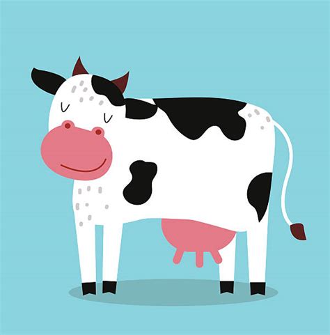 Royalty Free Cow Udder Clip Art, Vector Images & Illustrations - iStock