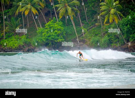 Surfing in Mirissa, Sri Lanka Stock Photo - Alamy