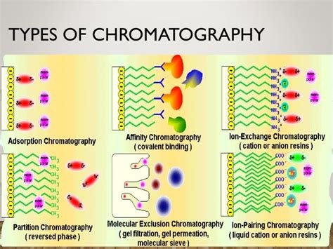 Affinity Chromatography Diagram