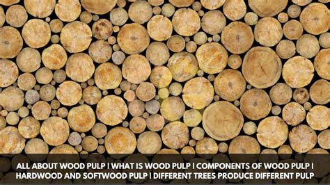 All About Wood Pulp | What Is Wood Pulp | Components of Wood Pulp ...