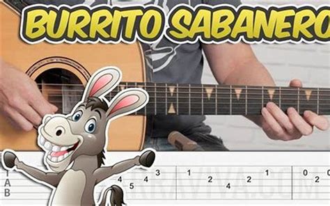 Mi Burrito Sabanero Guitar Chords - Burrito Yummy