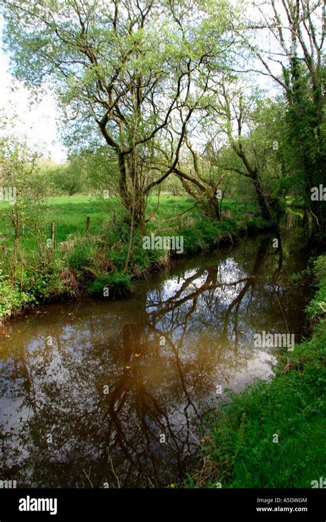 Co Fermanagh Castle Archdale Forest Park stream Stock Photo - Alamy