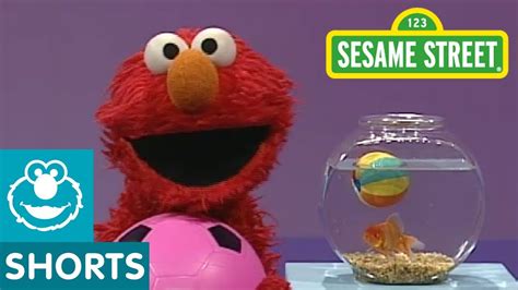 Sesame Street: Elmo's World: Play Ball! - YouTube