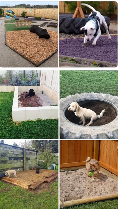 15 Backyard Landscaping Ideas That Will Give Your Dogs Happy Barks