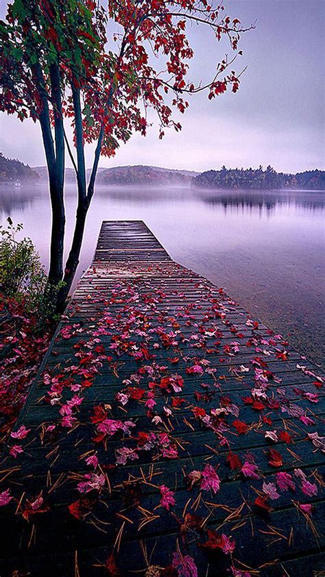 Free Trees, Leaves, Pontoon Background Images, H5 Creative Landscape ...