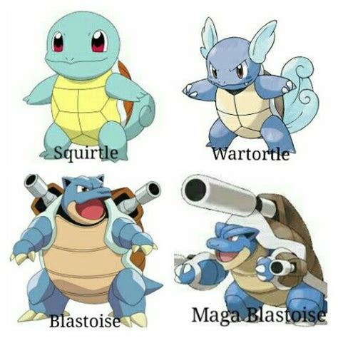 Squirtle evolution Pokemon Bulbasaur, Pokemon Oc, Pokemon Birthday ...