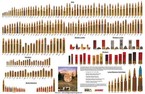 Ammunition types and size comparisons : r/coolguides