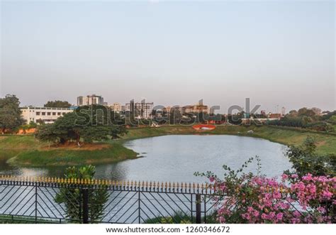 Chetpet Lake Known Chethupattu Aeri Tamil Stock Photo 1260346672 ...