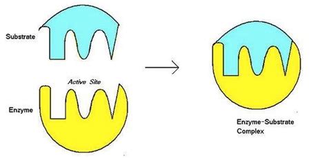 Substrate Examples