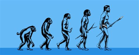 How Did Humans Evolve? A Complete Guide To Human Evolution ...