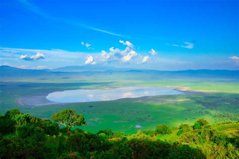 What to Expect on a Ngorongoro Crater Safari: Ultimate Guide