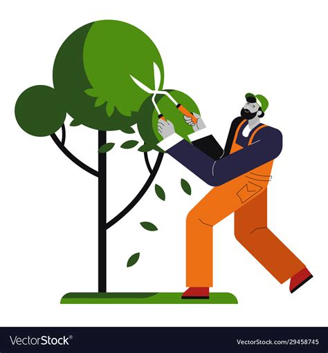 Man cutting tree gardener trims plant isolated Vector Image