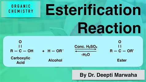 Esterification Reaction - Organic Chemistry - YouTube