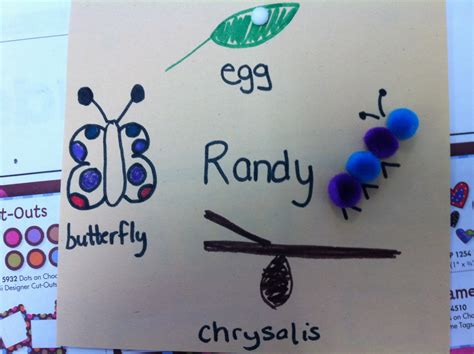 Kinderpond: Caterpillar Life Cycle