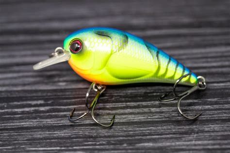 10 Best Bass Lures for Beginner Fishermen - FishRook