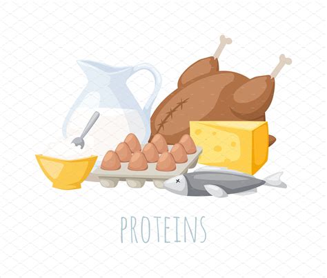 Proteins food vector illustration | Protein foods, Illustration, Vector ...