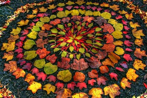 Andy Goldsworthy Fall Leaves