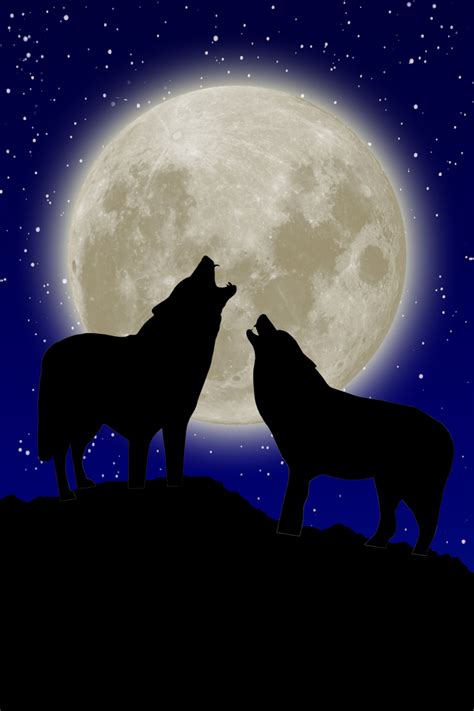 full moon tonight | Wolf howling at moon, Wolf pictures, Moon art