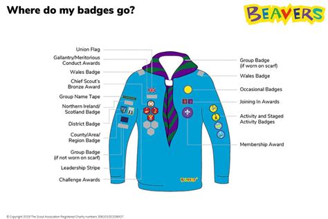 uniform-badge-placement-diagrams-beavers-pdf edit 1 | Sketty Scout Group