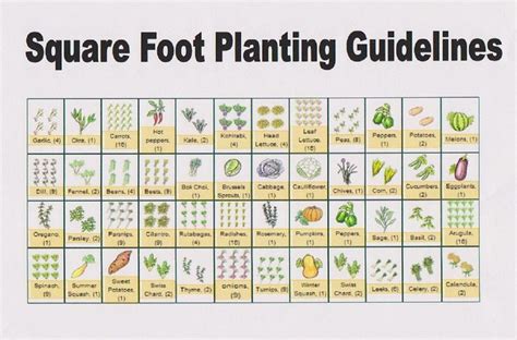 Square Foot Planting Guide | Garden Layout Vegetable