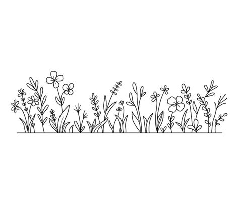 Premium Vector | Vector wild herbs and flowers silhouette background ...