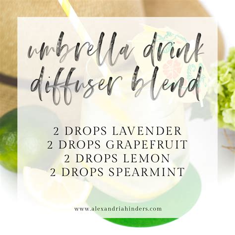 Six new diffuser recipes to try this summer - Alexandria Hinders