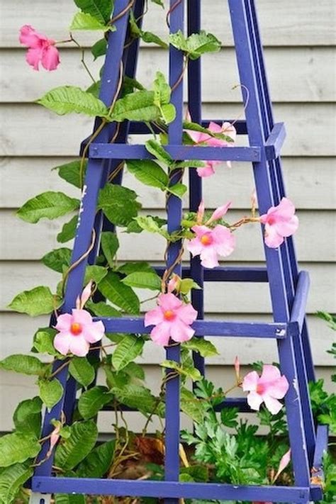 Garden Trellis & Screening | Garden Fence Panels & Gates: Diy ...