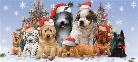 LPG Greetings Puppies in Santa Hats Box of 14 Long Glitter Dog ...