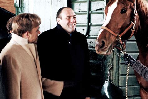 The Sopranos Horse Pie-O-My Dies in New York