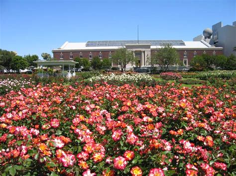 Exposition Park Rose Garden