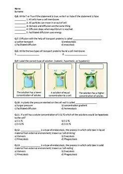 Cell Transport: Diffusion, Osmosis, Endocytosis, Exocytosis (Worksheet)