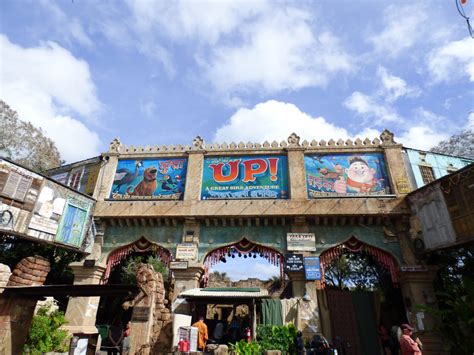 Up! A great bird adventure show at Animal Kingdom - DisFamilyTravels