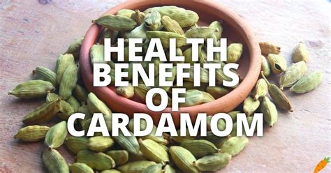 21 Potential Health Benefits Of Cardamom