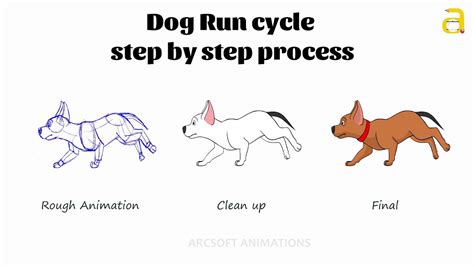 Cartoon Dog Run Cycle Step by Step 2D Animation Process - YouTube