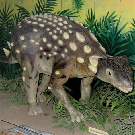 Minmi Dinosaur Australian Ankylosaur - Sculpture & Statue