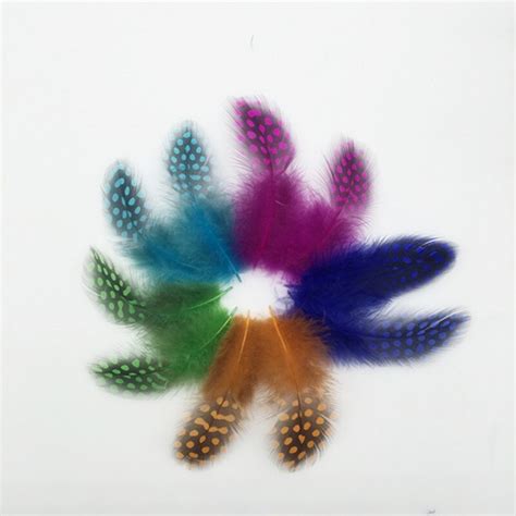 Freeshipping! 200Pcs/Lot 5 12cm Multicolor Guinea Fowl Spotted Feathers ...