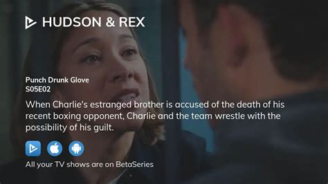 Where to watch Hudson & Rex season 5 episode 2 full streaming ...