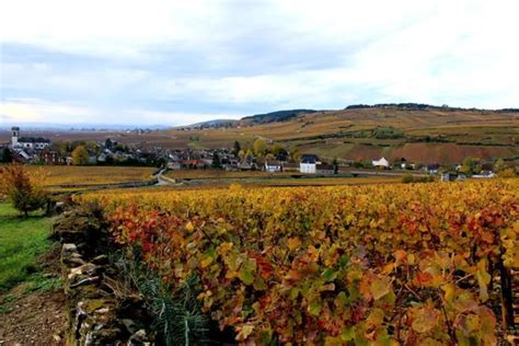 Full day Wine tour in Côte de Beaune from the town of Beaune