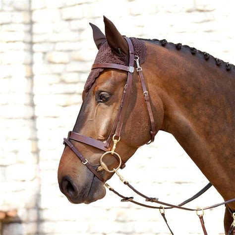 Bridles | Horze-Equestrian | Horses, Sport horse, Horse gear