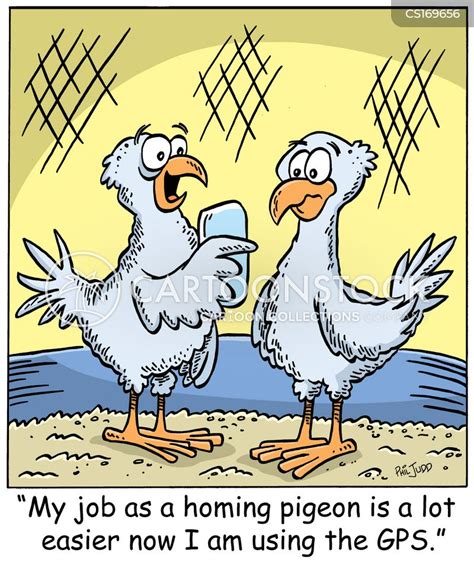 Homing Pigeon Cartoons and Comics - funny pictures from CartoonStock