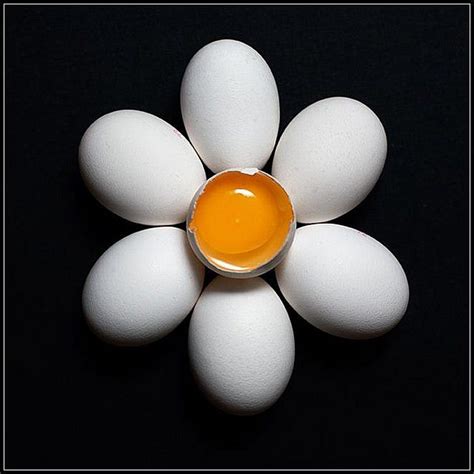 egg flower | Food art photography, Macro food photography, Food photography