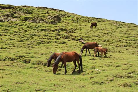 People - The Gurage Zone of Ethiopia እንኳን ደህና መጡ!